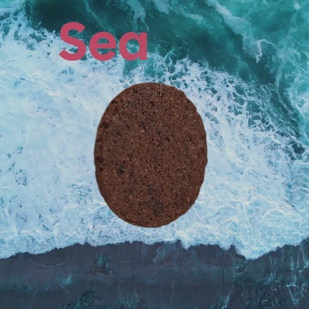 Dark Sea Salt - Single