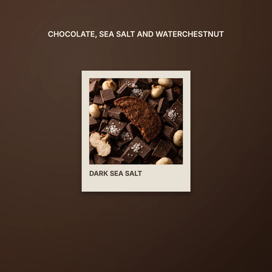 the dark sea salt box